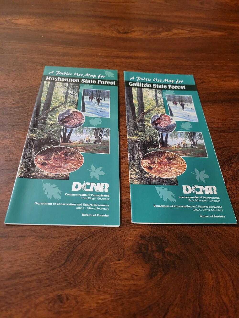 Pair of Pennsylvania DCNR State Forest Public Use Maps